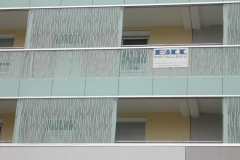 DSCN1281